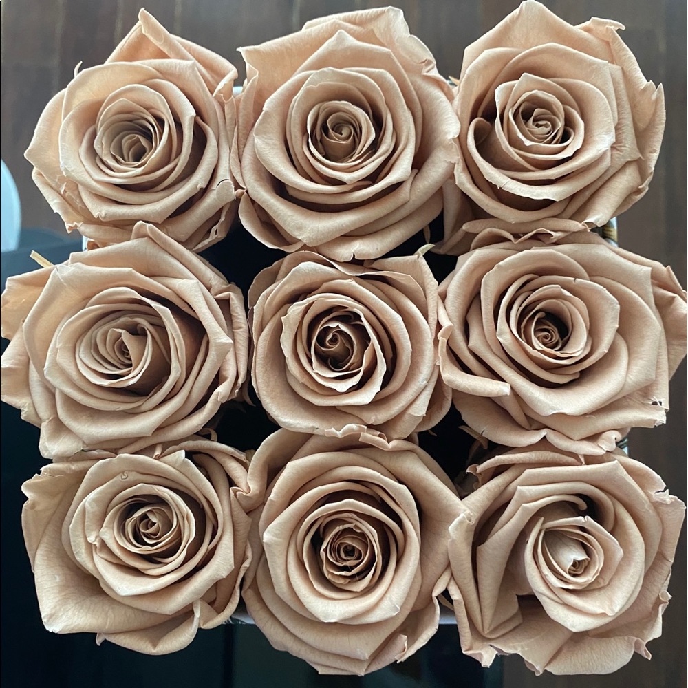 Forever roses 🌹 available for pickup Toronto